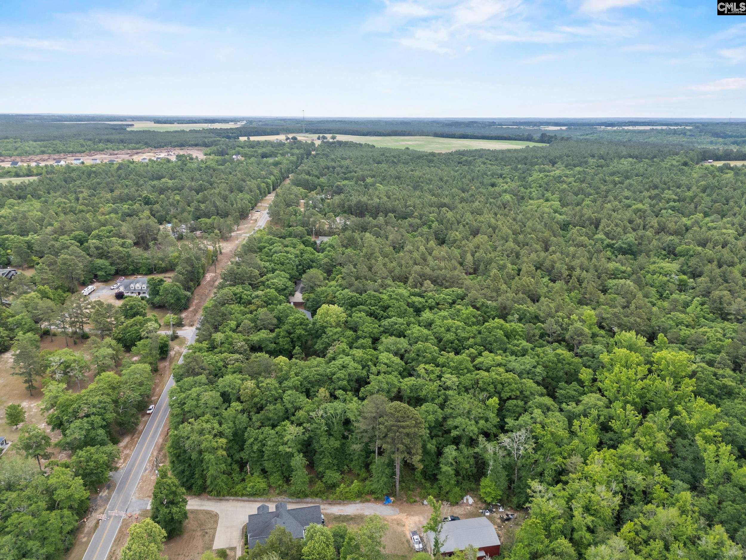 132 Forts Pond Road Pelion, SC 29123 - Photo 49 of 54