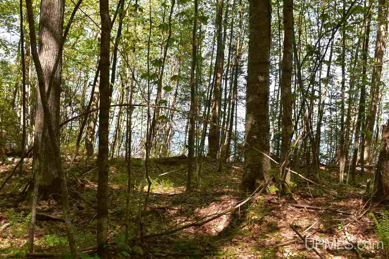24-acres Co Rd Kb Big Bay, MI 49808 - Photo 48 of 50