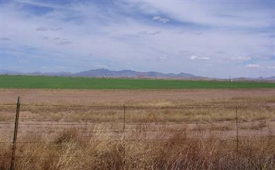 10 Turkey Trot Road, Unit AC Pearce, AZ 85625 - Photo 2 of 3