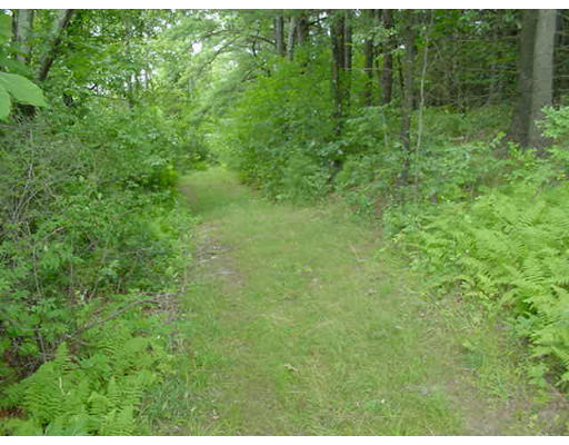 Lot 4 Anderson Road Ware, MA 01082 - Photo 3 of 9 Gallery Image 3