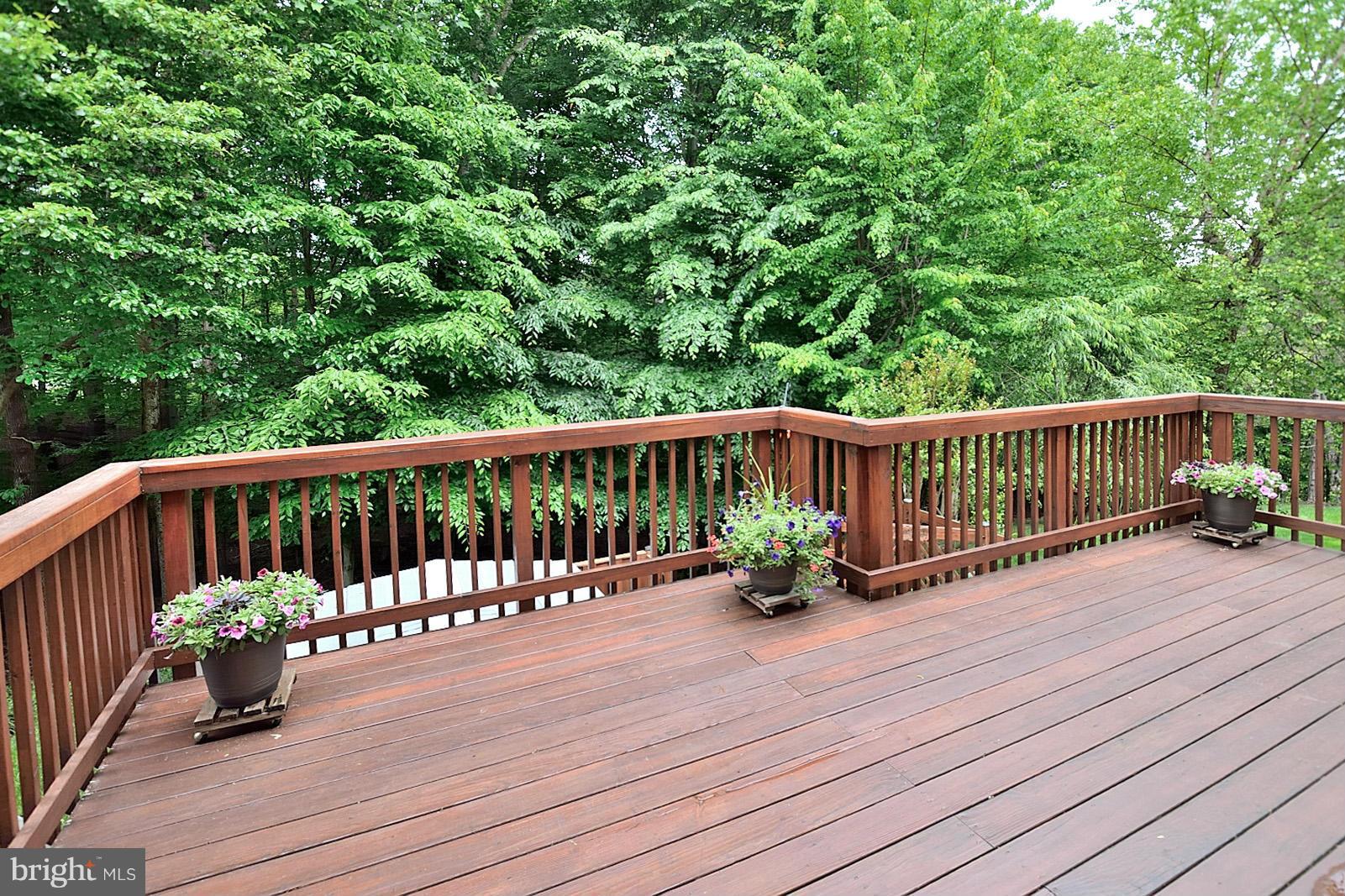 7286 Olde Lantern Way Springfield, VA 22152 - Photo 14 of 26 Huge deck overlooking trees/park like setting