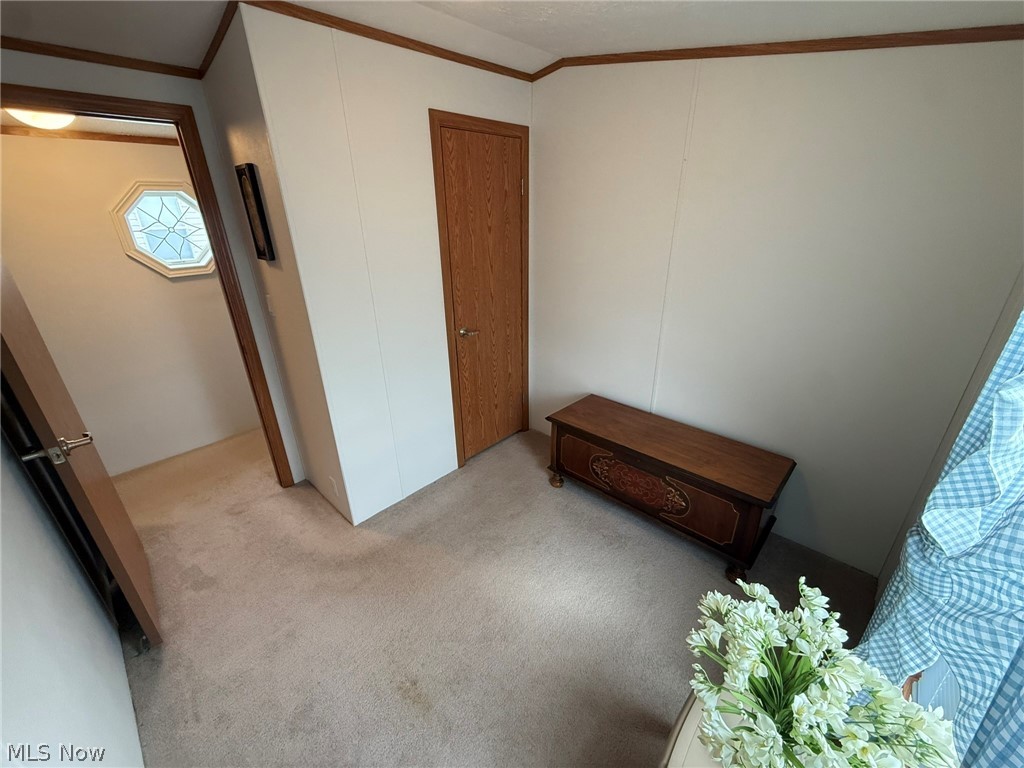 2933 Rabbit Drive Dennison, OH 44621 - Photo 27 of 28 Unfurnished bedroom featuring crown molding and carpet