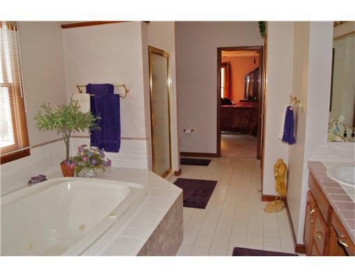 421 Meadow View Drive McKees Rocks, PA 15136 - Photo 12 of 18 Master Bath/Spa.