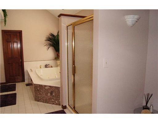 421 Meadow View Drive McKees Rocks, PA 15136 - Photo 13 of 18 Master Bath/Spa.