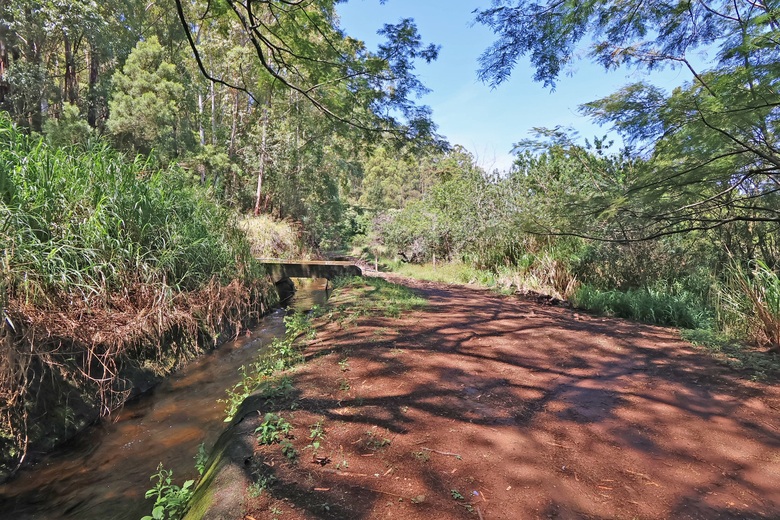 Undisclosed Address Honokaa, HI 96727 - Photo 11 of 16 a view of an outdoor space with yard