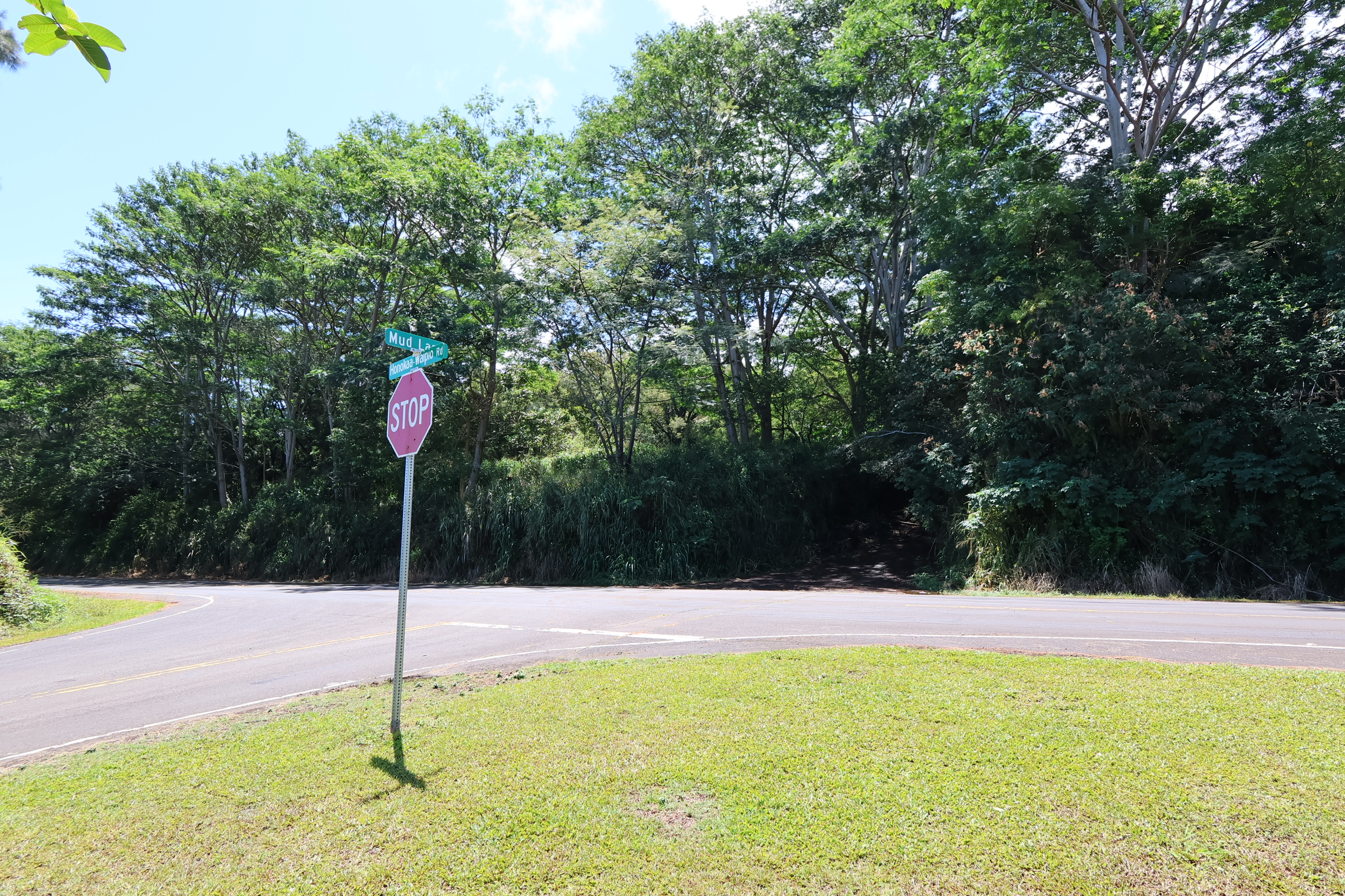 Undisclosed Address Honokaa, HI 96727 - Photo 15 of 16 a outdoor view