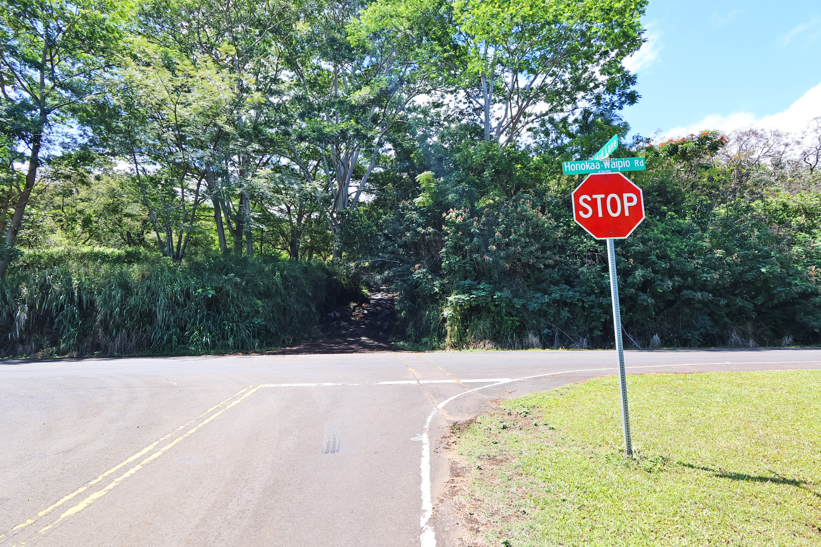 Undisclosed Address Honokaa, HI 96727 - Photo 16 of 16 a swimming pool with trees in the background