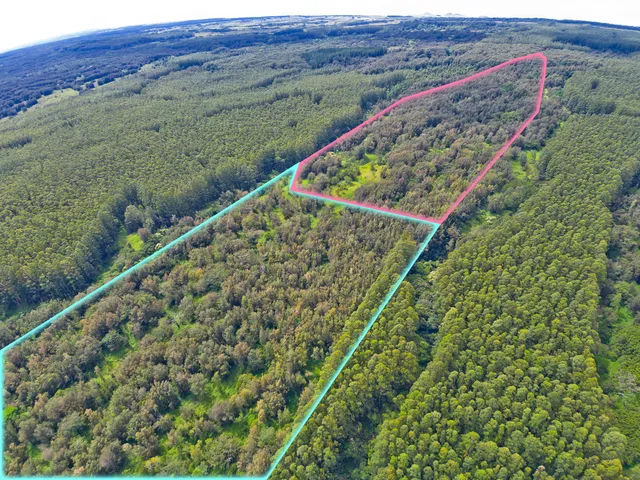 a view of a large green field