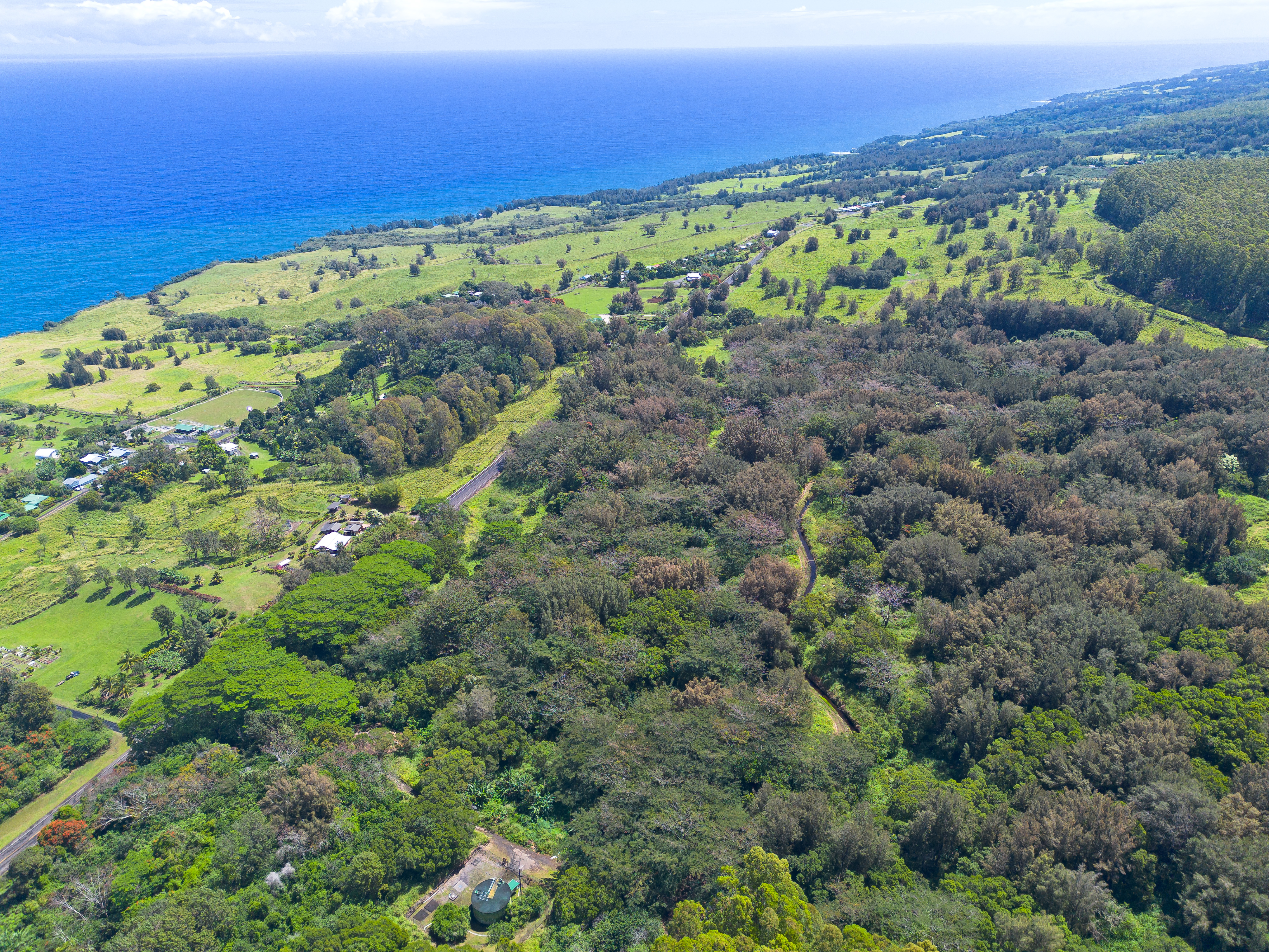 Undisclosed Address Honokaa, HI 96727 - Photo 7 of 16 a view of a large green field