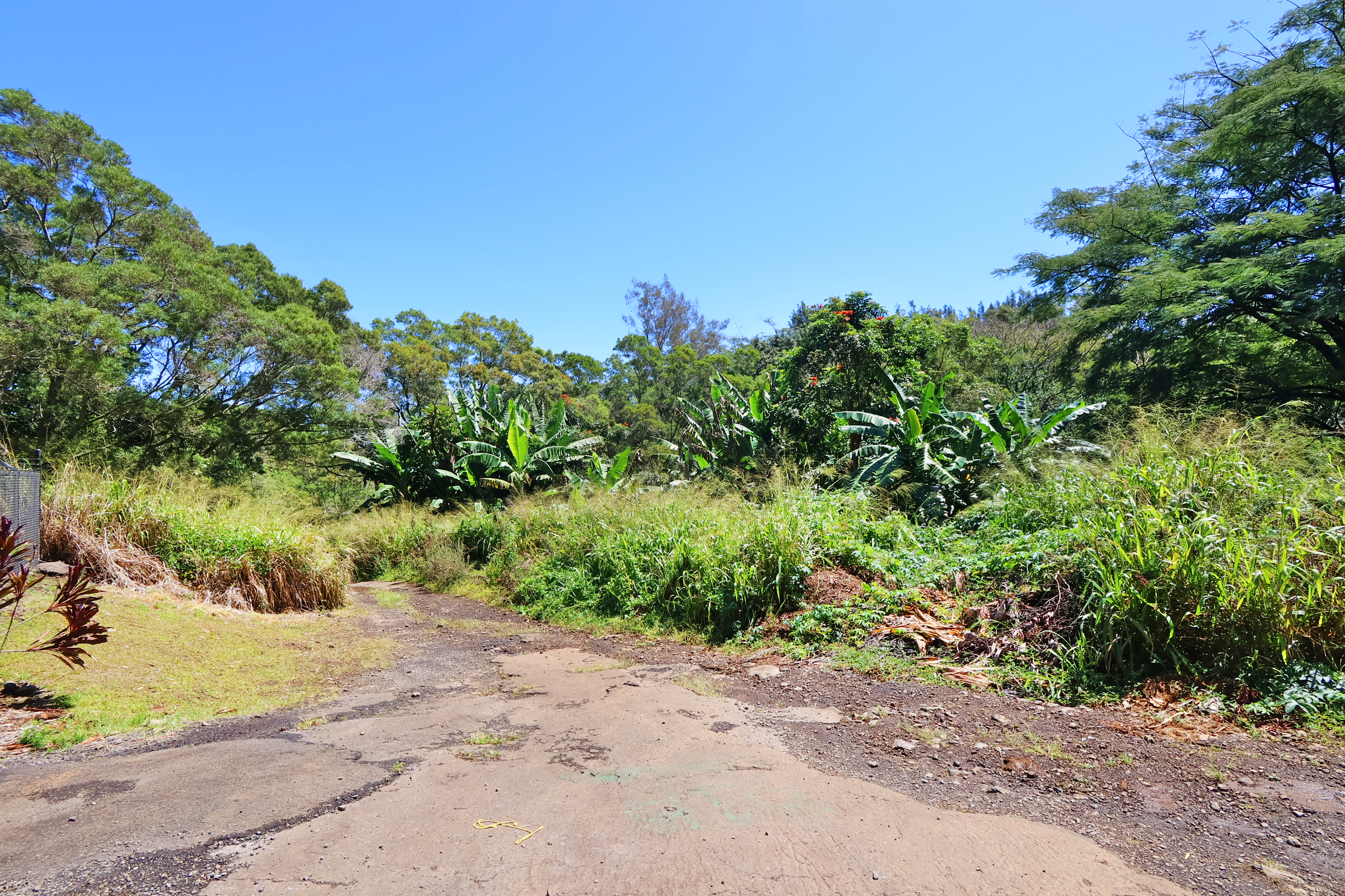 Undisclosed Address Honokaa, HI 96727 - Photo 8 of 16 not sure