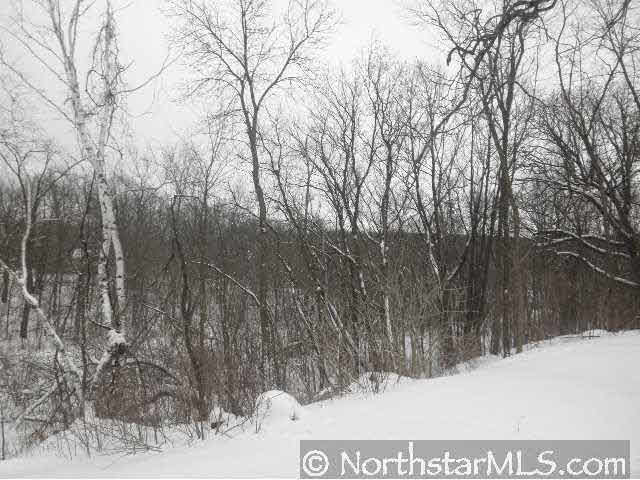12243 Wilcox Road North Branch, MN 55056 - Photo 8 of 8