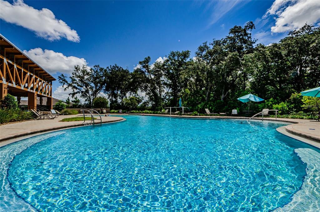6780 Emerald Spring Loop New Port Richey, FL 34653 - Photo 63 of 83 Gallery Image 63