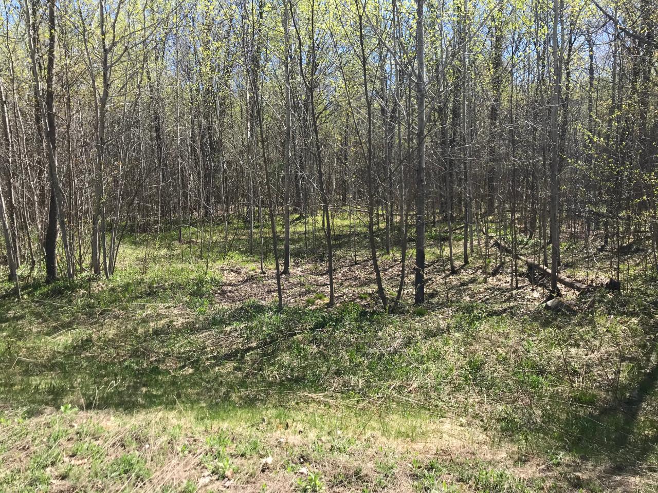 On Glacier Ridge Road, Unit LOT 3 Crandon, WI 54520 - Photo 4 of 5 Gallery Image 4