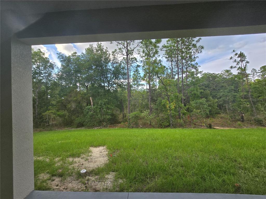 13193 Barnevelde Road Weeki Wachee, FL 34614 - Photo 60 of 71