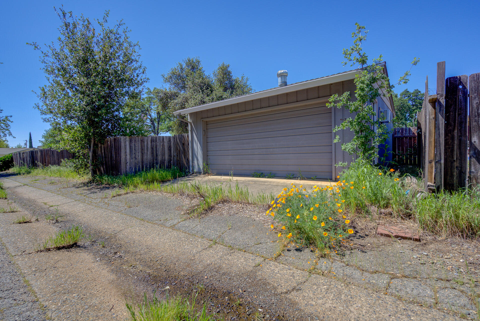 2689 Shasta View Drive Redding, CA 96002 - Photo 30 of 33 a view of backyard with potted plants and a large tree