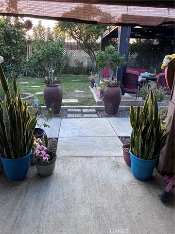 a living room filled with furniture and a potted plant