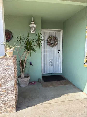 a view of a potted plant in front of a door