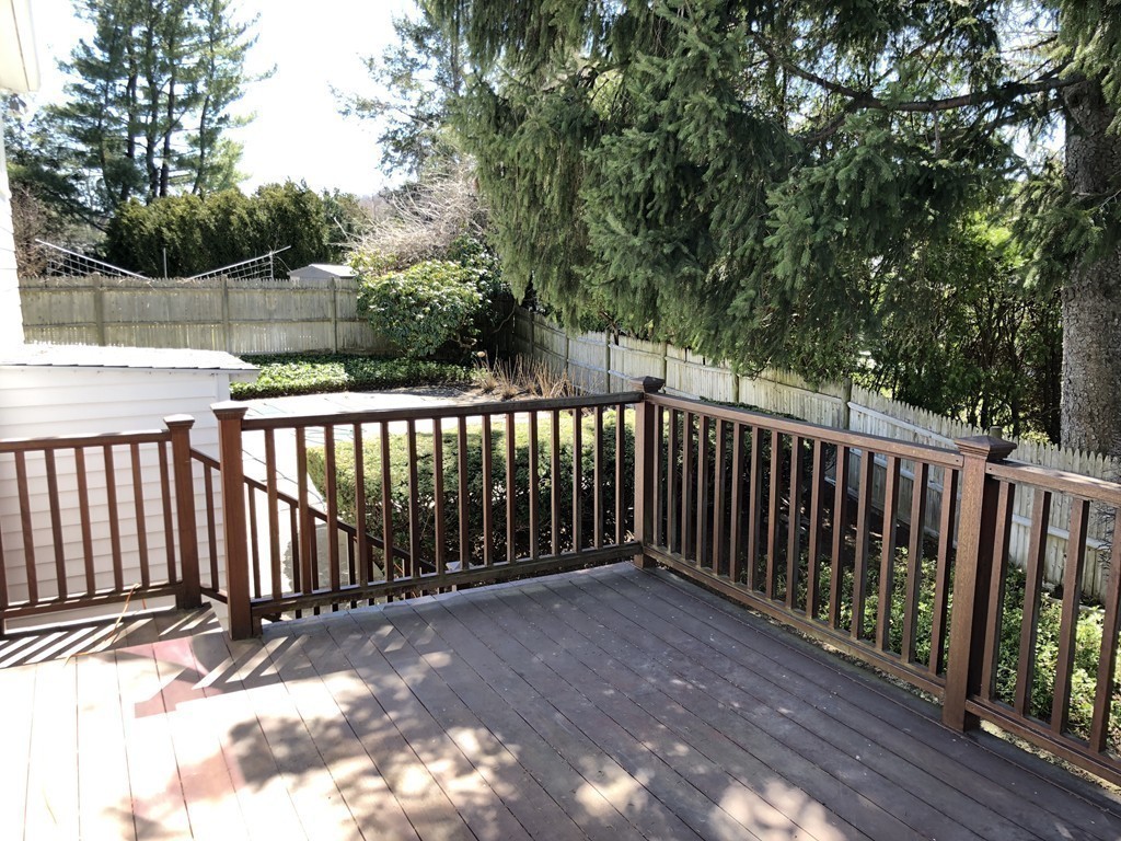 43 Cynthia Road Newton, MA 02459 - Photo 18 of 19