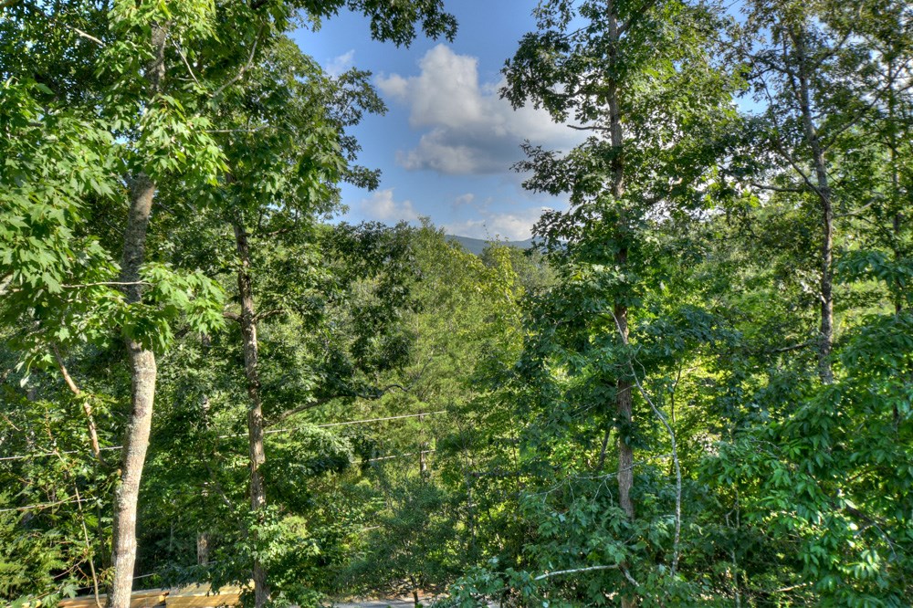 199 North Hiawatha Trail Blue Ridge, GA 30513 - Photo 55 of 55 Gallery Image 55