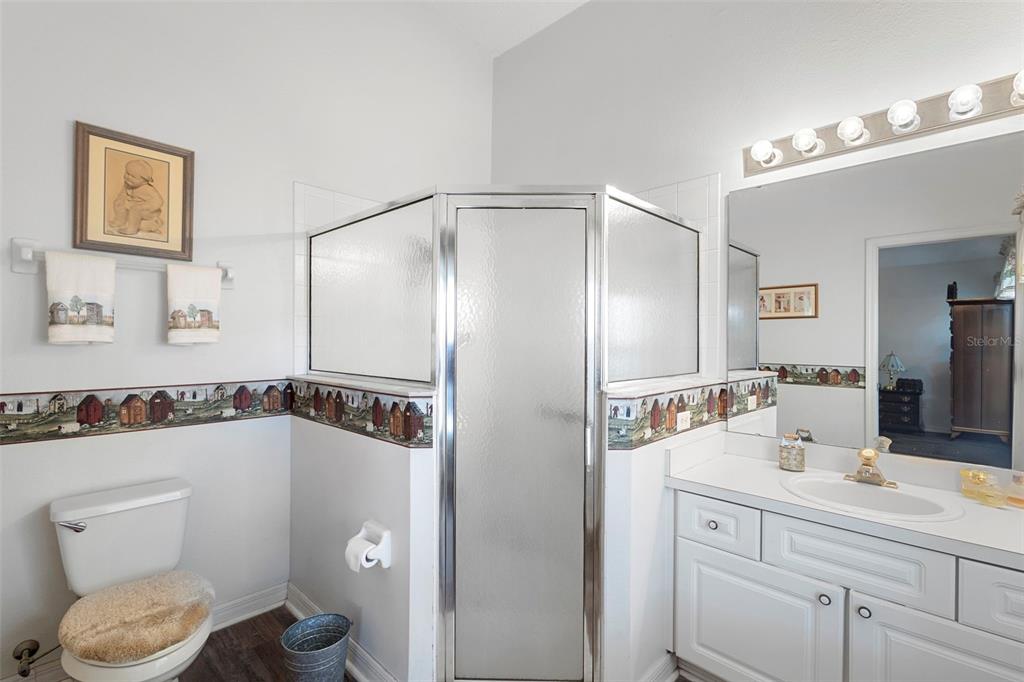 10320 Bumblebee Lane Leesburg, FL 34788 - Photo 19 of 49 a bathroom with a toilet a sink and mirror