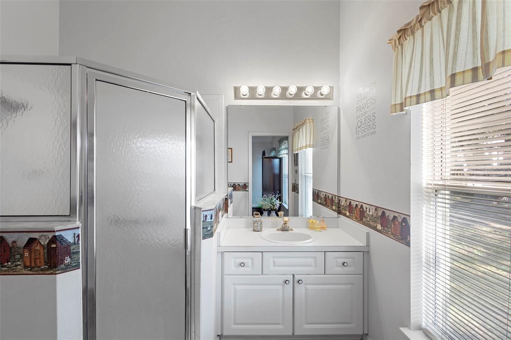 10320 Bumblebee Lane Leesburg, FL 34788 - Photo 20 of 49 a bathroom with a sink and a mirror