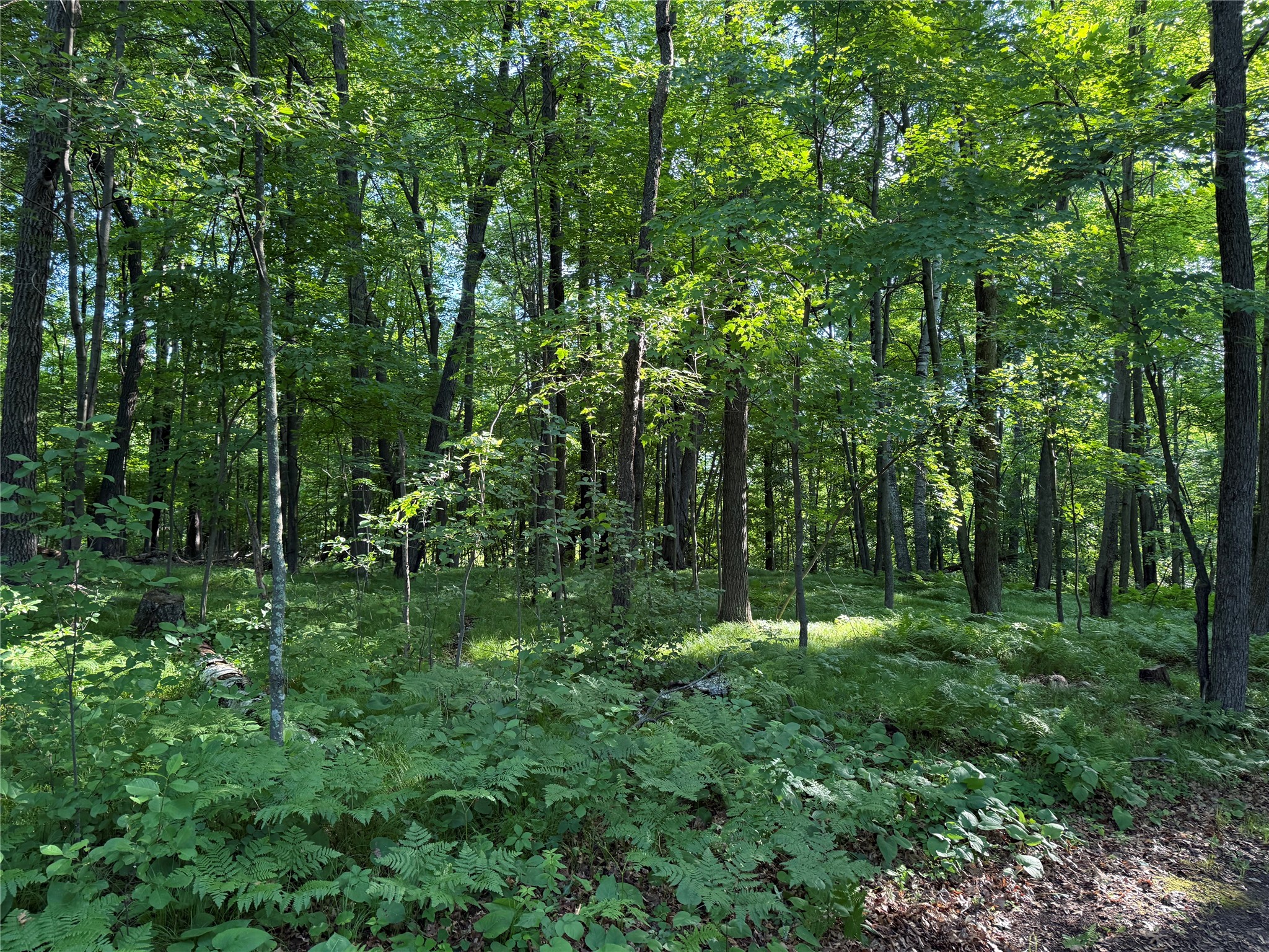 Xxx Sathre Lane Shell Lake, WI 54871 - Photo 27 of 36