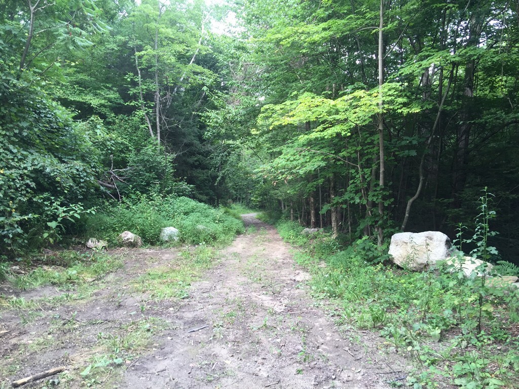 271 Blandford Road Russell, MA 01071 - Photo 25 of 30 Gallery Image 25