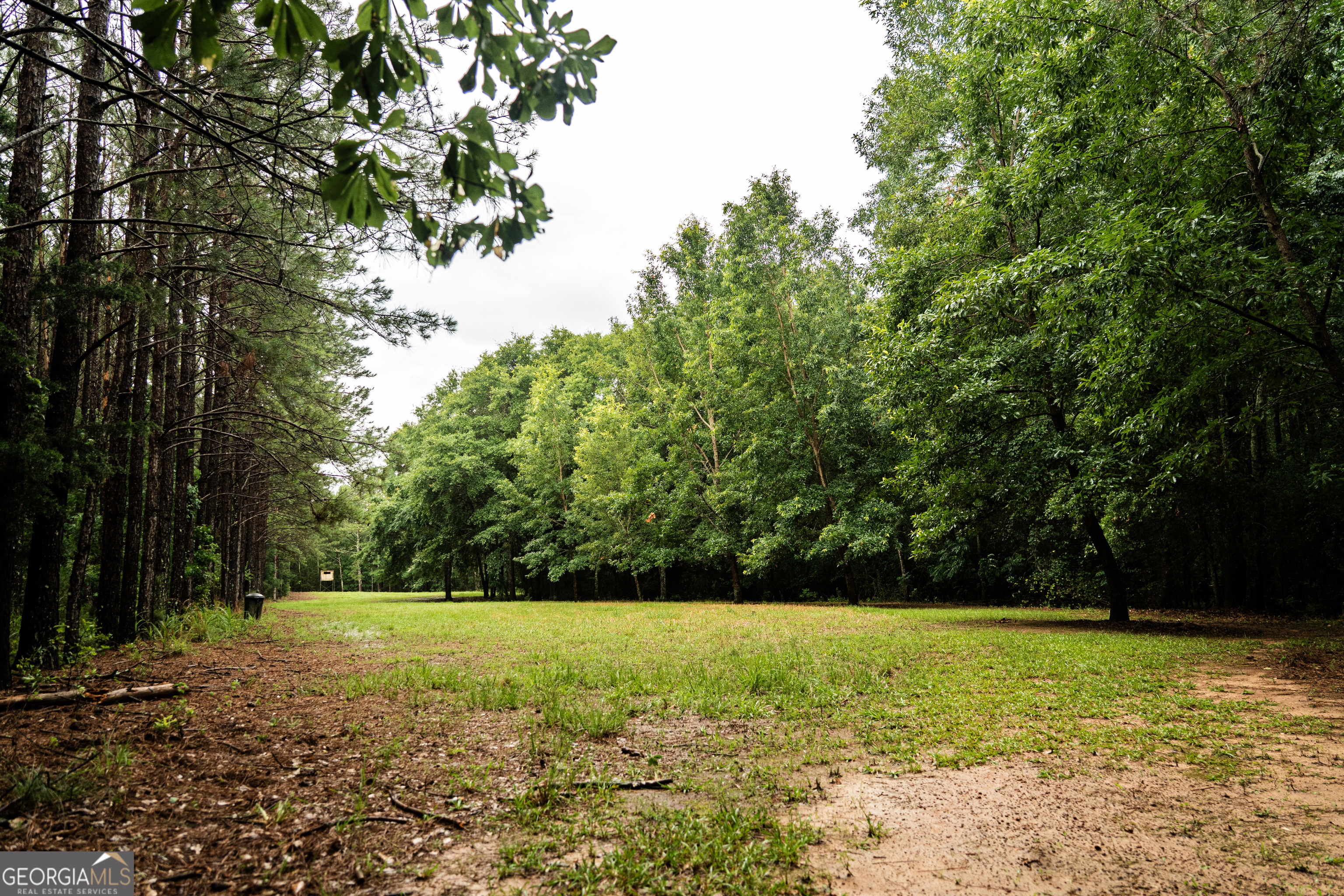 990 Highway 49 Americus, GA 31719 - Photo 63 of 121