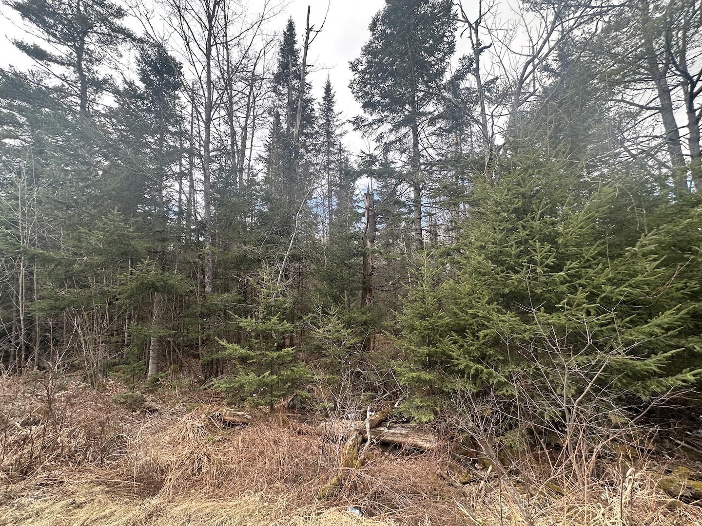 0 North Littleton Road Littleton, NH 03561 - Photo 2 of 7