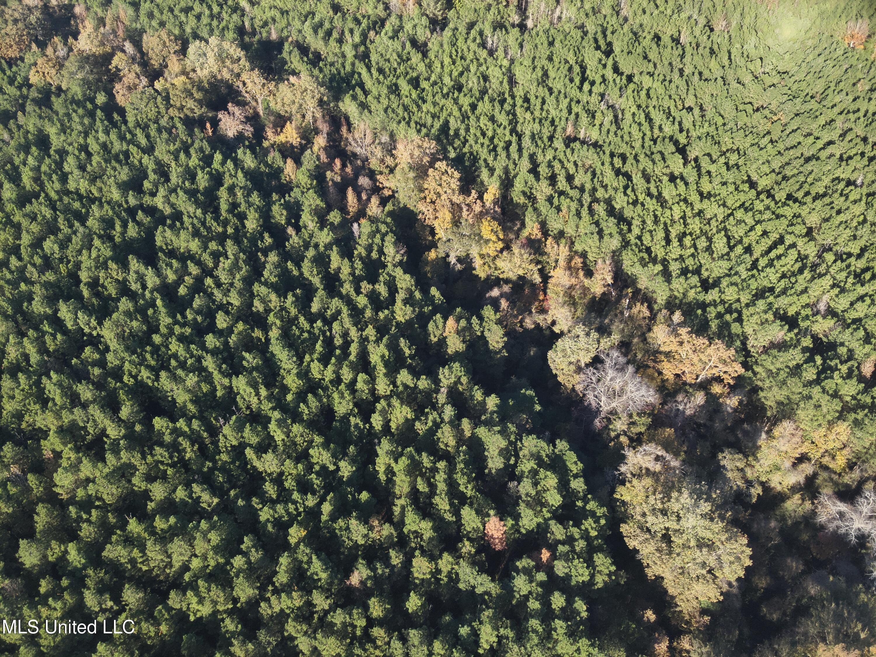 4 Whiddon Road Canton, MS 39046 - Photo 39 of 45 DJI_20251109151935_0009_V