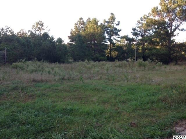 6286 Tranquil Road Conway, SC 29527 - Photo 1 of 5
