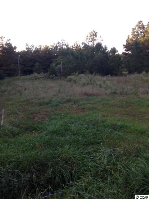 6286 Tranquil Road Conway, SC 29527 - Photo 3 of 5