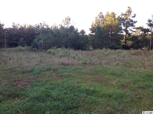 6286 Tranquil Road Conway, SC 29527 - Photo 4 of 5