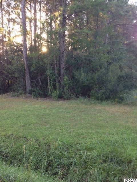 6286 Tranquil Road Conway, SC 29527 - Photo 5 of 5