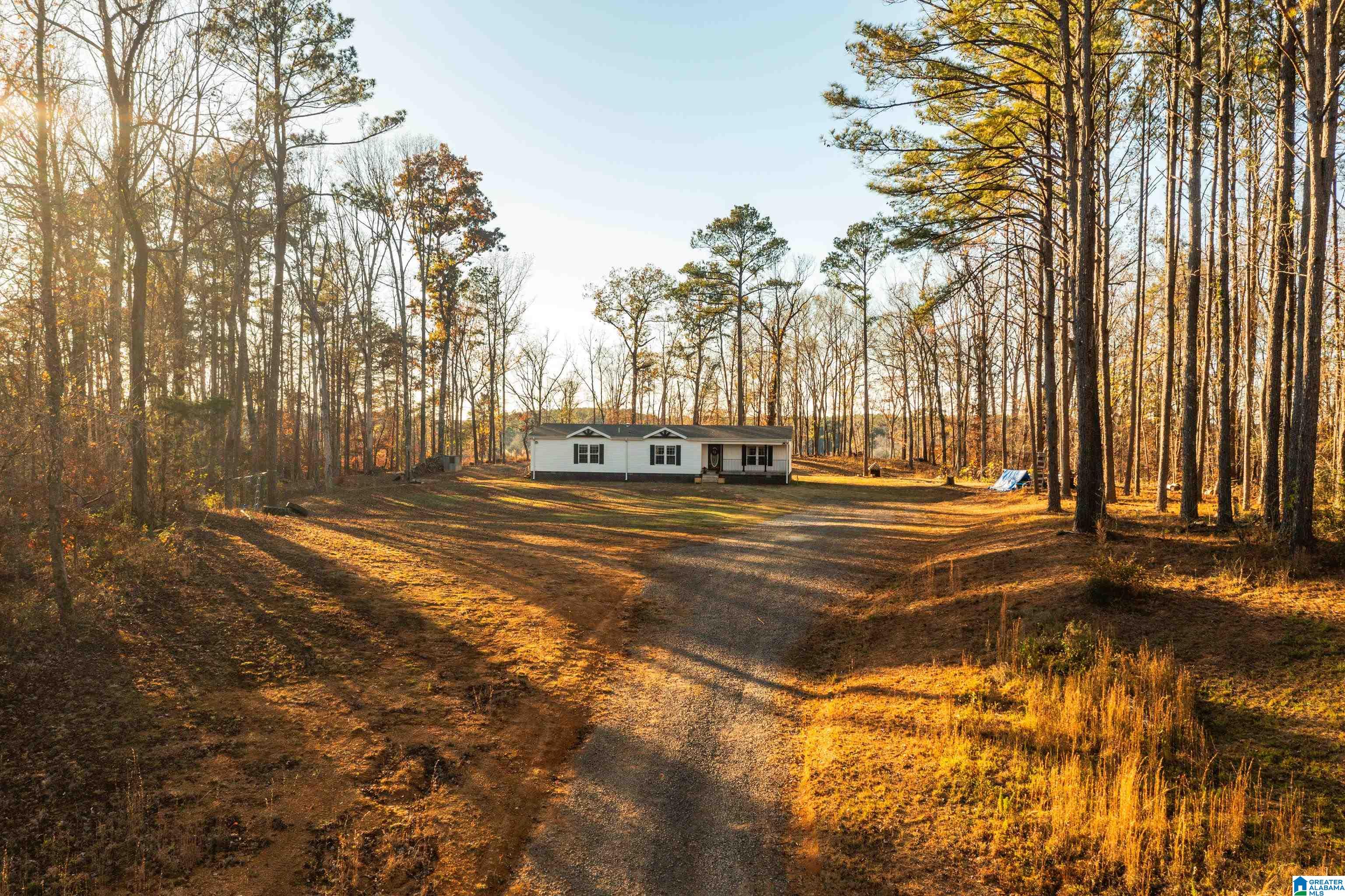 191 Warrior River Highlands Road Adger, AL 35006 - Photo 57 of 81