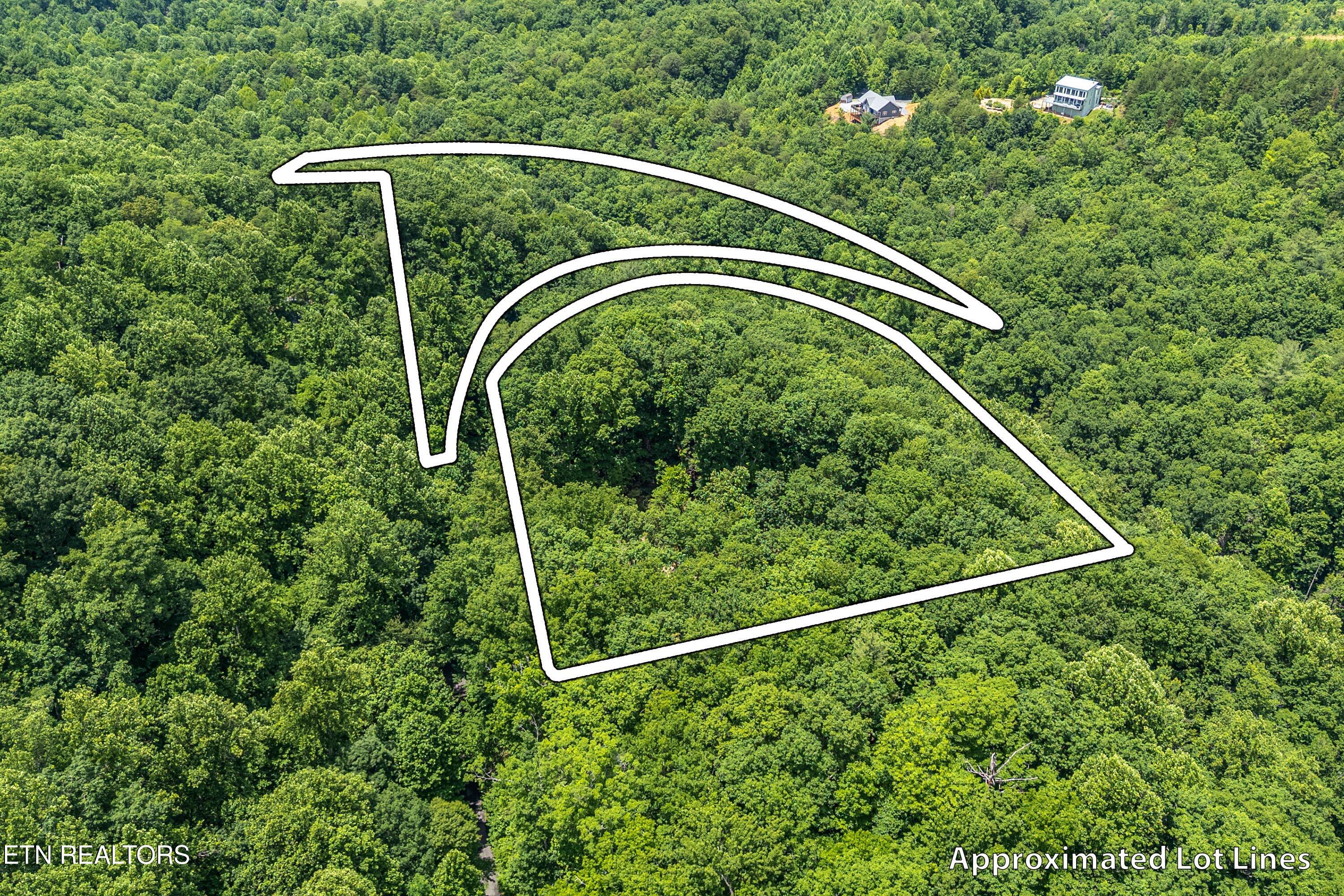 229 Sonshine Ridge Road Cosby, TN 37722 - Photo 9 of 22 03-Group Lot A3
