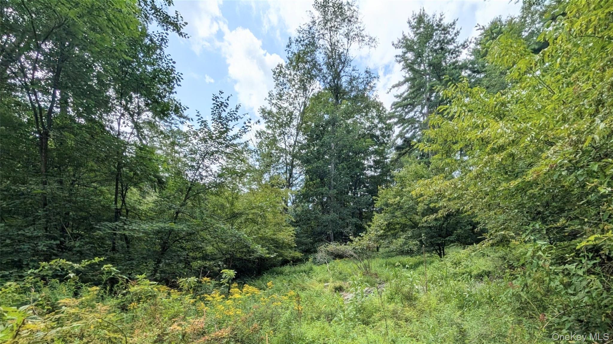38 Hoffman Road Narrowsburg, NY 12764 - Photo 32 of 32 Gallery Image 32