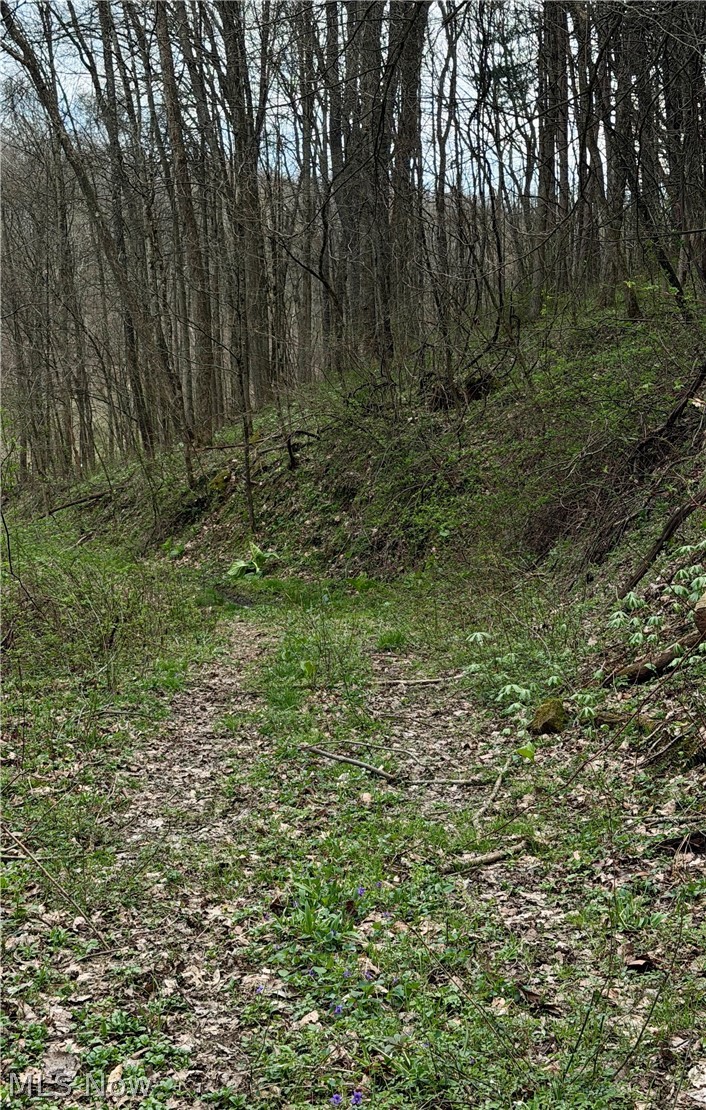 9100 Post Road Jewett, OH 43986 - Photo 45 of 46