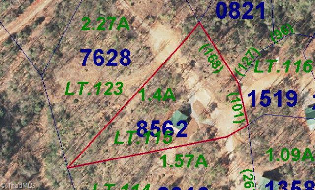 1115 Pepper Bush Road Purlear, NC 28665 - Photo 14 of 15