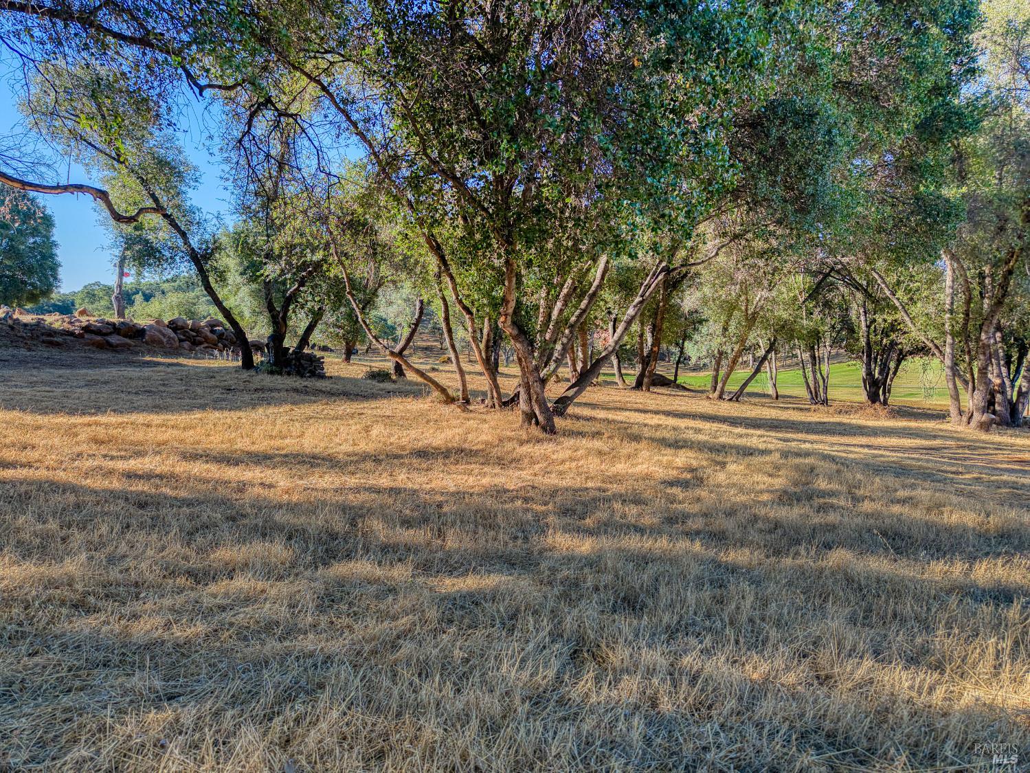 19933 Powder Horn Road Hidden Valley Lake, CA 95467 - Photo 15 of 68