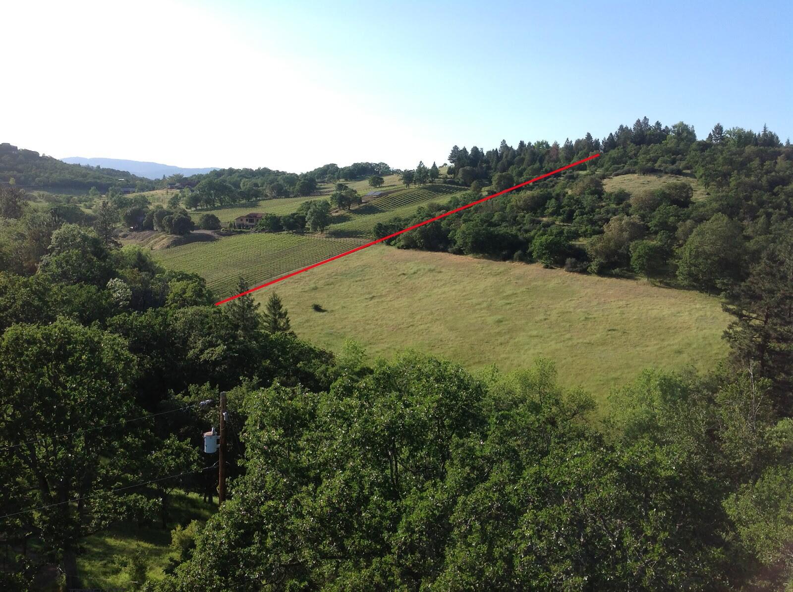 7017 Dark Hollow Road Medford, OR 97501 - Photo 59 of 74 back field