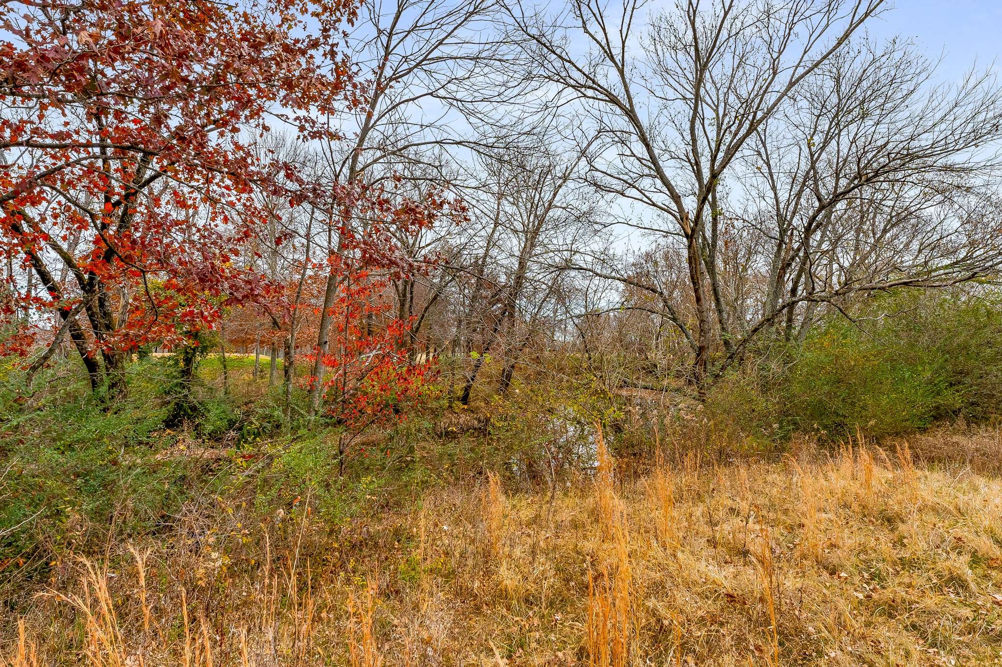 1995 Old Hillsboro Road Franklin, TN 37064 - Photo 69 of 70 a backyard of a building with large trees