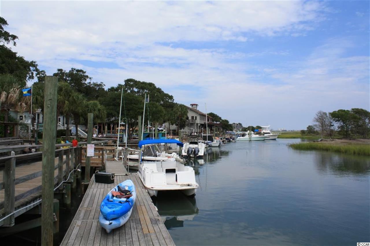 37 Cottage Drive Murrells Inlet, SC 29576 - Photo 10 of 16