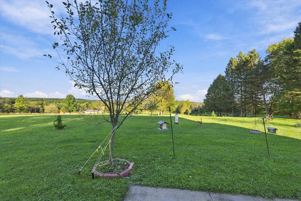 981 Hill City Road Cranberry, PA 16319 - Photo 33 of 49 Gallery Image 33