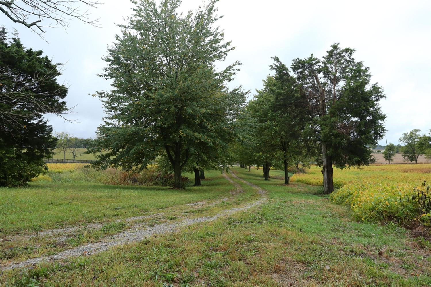 3213 Ironworks Road Georgetown, KY 40324 - Photo 2 of 16 Photo 2