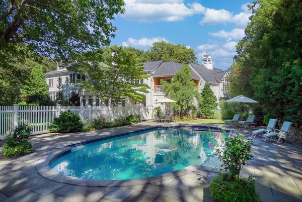 a view of a backyard with plants and a garden