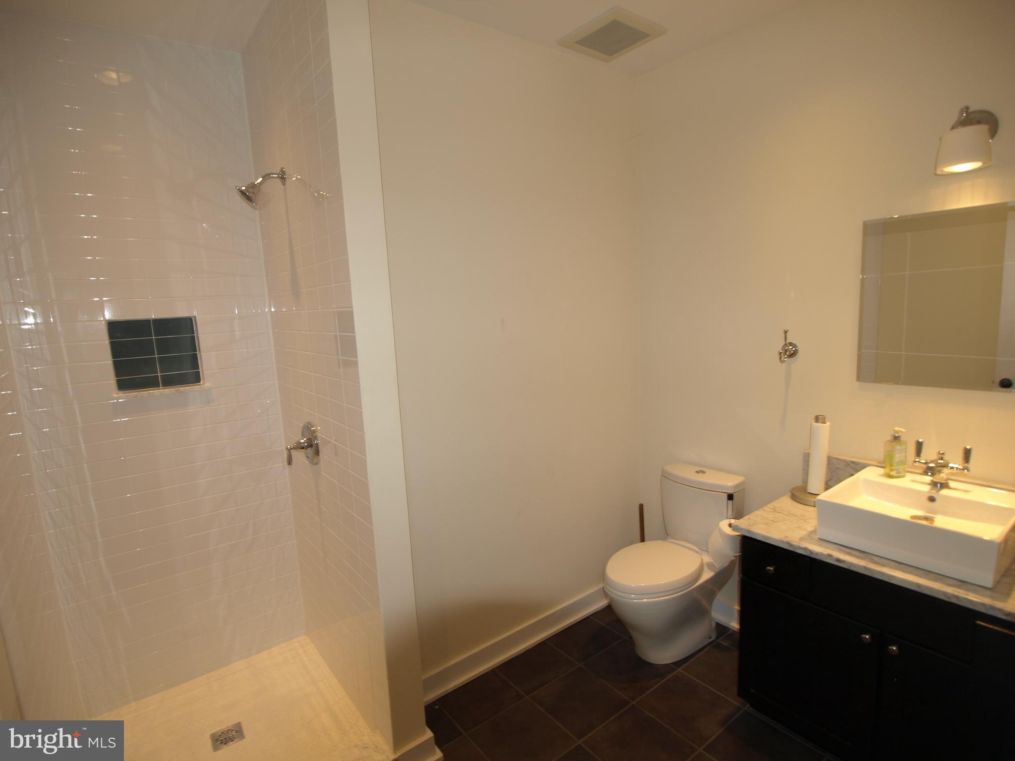 170 Grape Street, Unit LOWR Philadelphia, PA 19127 - Photo 4 of 5 a bathroom with a sink a toilet a mirror and vanity