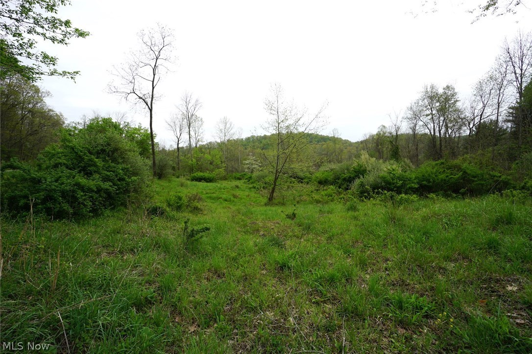 Dutch Creek Road Athens, OH 45701 - Photo 3 of 28