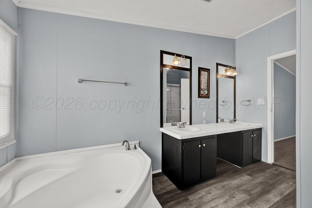 17650 Krabbe Street Canyon, TX 79015 - Photo 14 of 29 a en suite bathroom with a sink and mirror