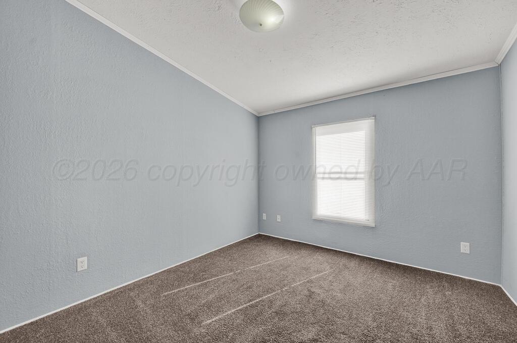 17650 Krabbe Street Canyon, TX 79015 - Photo 21 of 29 an empty room with windows